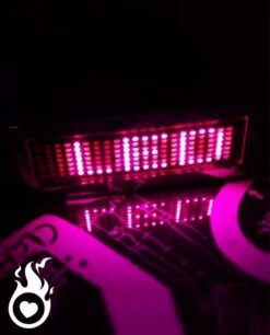 Ceinture Led Rose