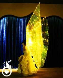 Ailes Lumineuses LED "Isis" -Lumière Fashion Promos Magasin ailes lumineuses led 9